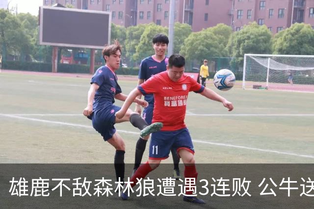 雄鹿不敌森林狼遭遇3连败 公牛送灰熊7连败